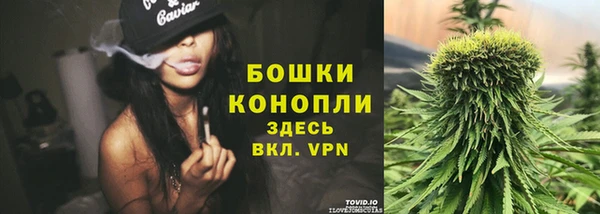 бошки Дмитриев