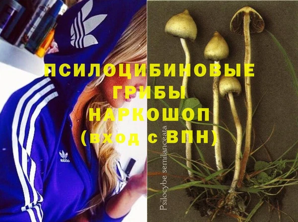 крисы Елабуга