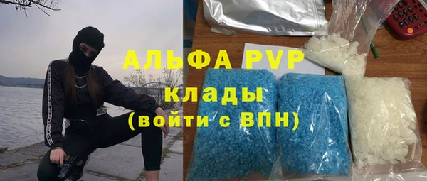 стаф Сафоново