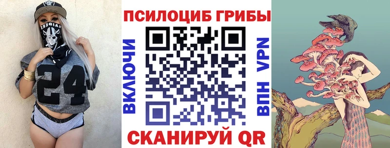 где купить наркотик  Ростов  Галлюциногенные грибы Psilocybe 